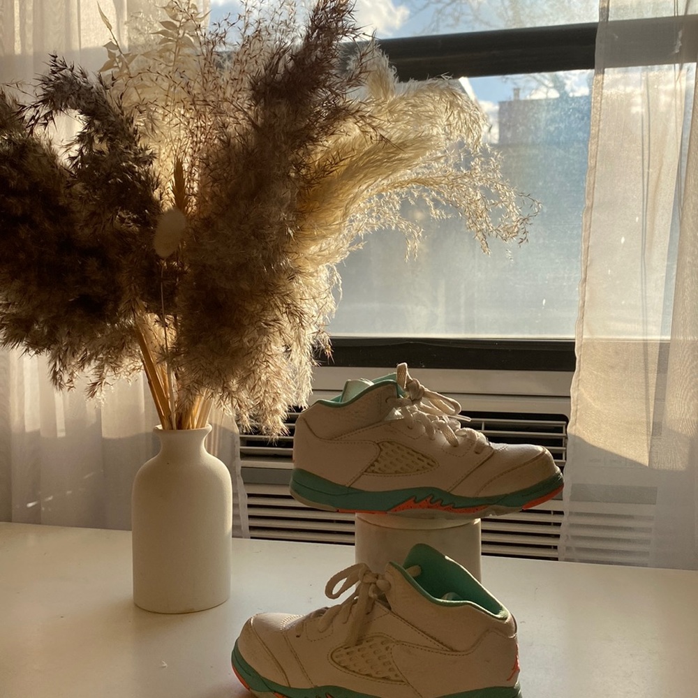 Jordan 10c
